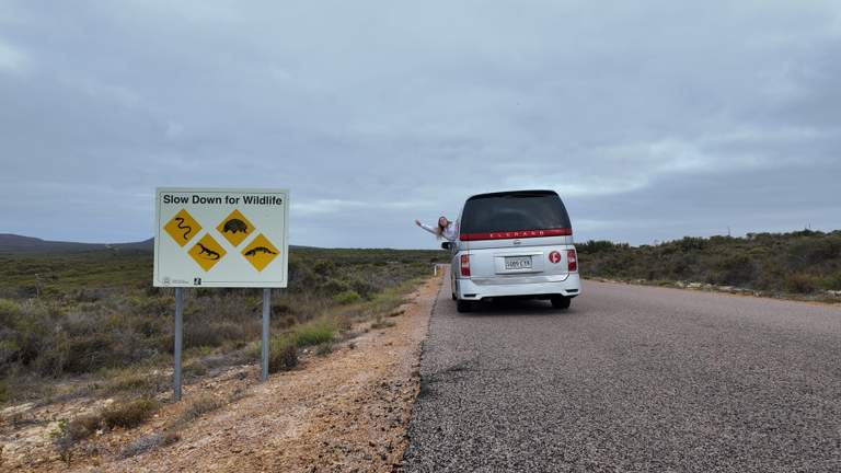 Wicked Campers' Ultimate Australian Road Trip Safety Guide