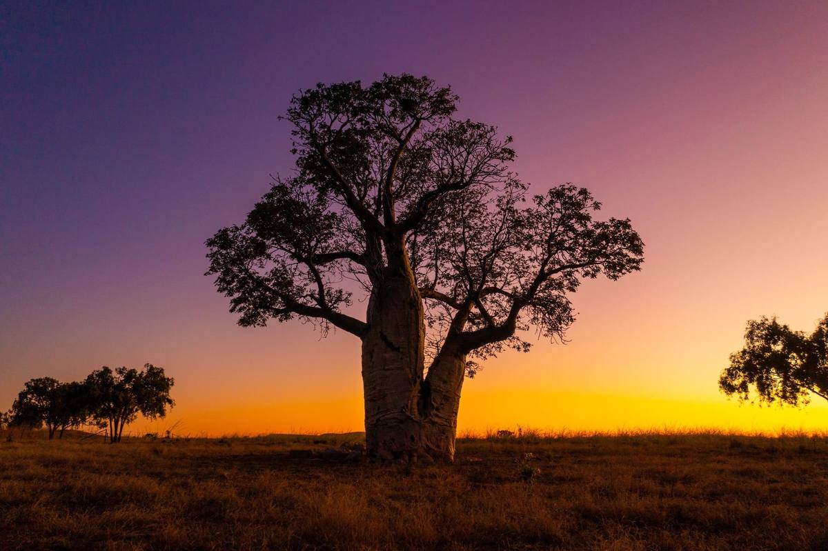 Campervan & 4WD Hire Northern Territory